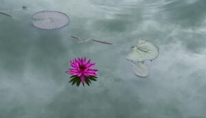 Gdac346ec5dc806f54802bea3af70a422d6d85a1932251dba5a77f4fcab6df3fb3da20b993bc6bdab9147febf4aad9150339f32c8e9d6392851563ed5d7940697 640