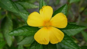 Gf69ece016b1abe65028099fbaa5f72ec1fb8e4ca969aa6b8f978ff19e57af9d706968a6ac14428c47f262424306bbd5ff2b025bb8a8ddf900356d9de7f2266e4 640